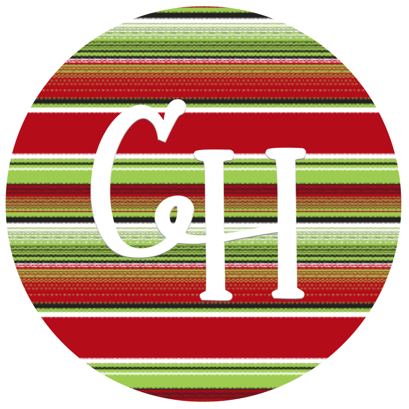 HTV • Serape Prints