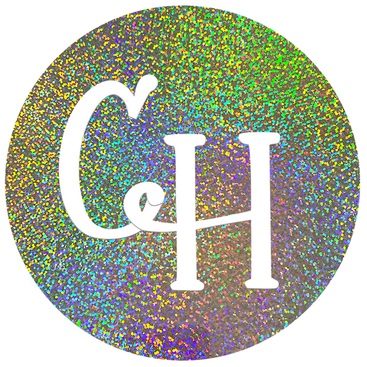 HTV Holographic • Silver