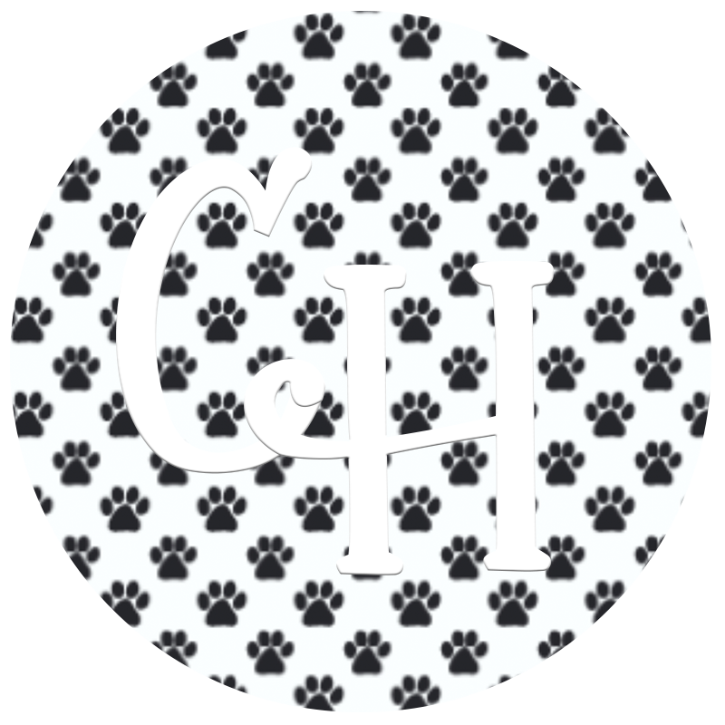 HTV Print • Pet Paw