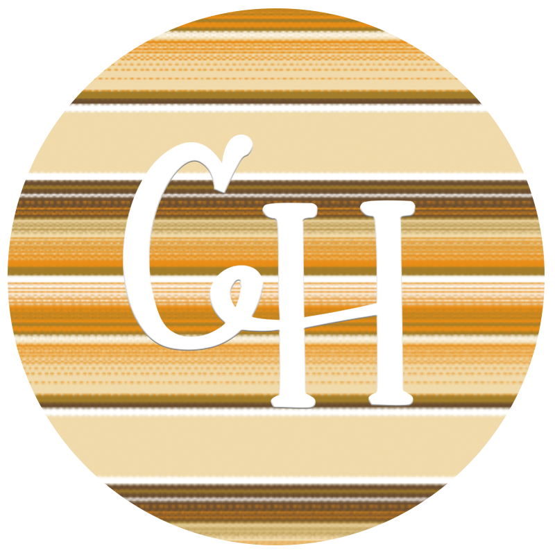 HTV • Serape Prints