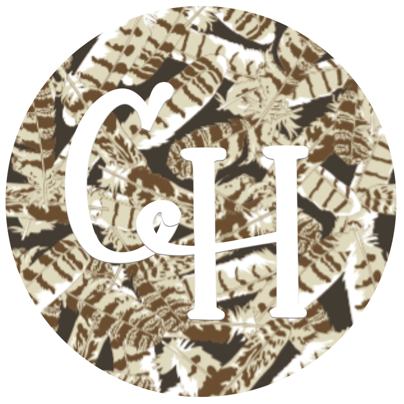 HTV Print • Turkey Feathers