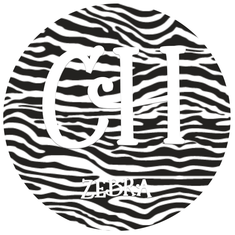 HTV • Zebra Prints