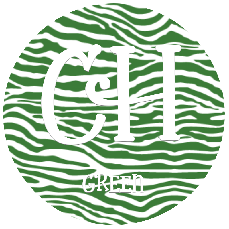 HTV • Zebra Prints