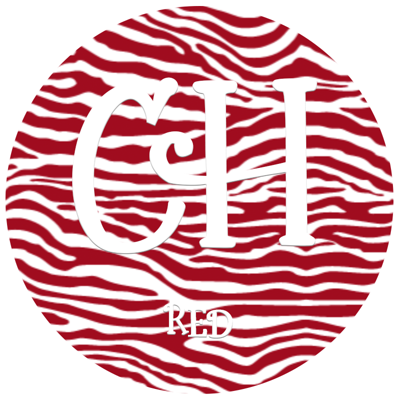 HTV • Zebra Prints